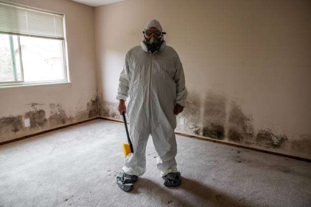 Best Post-Flood Mold Remediation in Central, LA